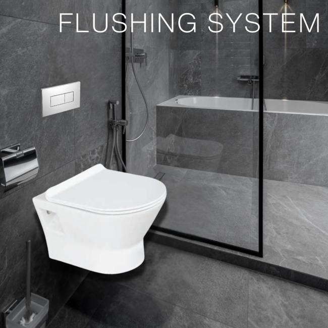 Flushing System